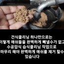 다맡겨 크리닝 이미지