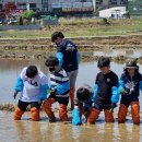 용천초등학교 이미지