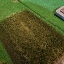 서초중앙로29길 28 (10) 이미지