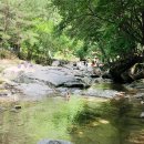 제 189차 정기산행 문경 대야산 용추계곡 이미지