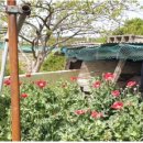 동해-단속-13 이미지