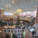 (2024년 겨울방학특강) 책과 함께 떠나는 세계여행 | 2025 스타필드 코엑스몰 별마당도서관 포토존 서울 크리스마스 명소 데이트 최고