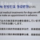 최재호 한방동물병원 이미지