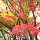 자매공원 이미지