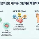 삼차농장 | 👵🏻 사노라의 건강 노트 제1화: 남편 백세락 씨의 지긋지긋한 편두통, '비우고 채우고 자극하기' 3단계로...
