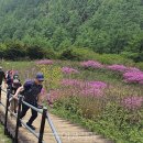 지리산물길따라펜션 이미지