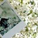 아지랑이 이미지