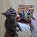 나비펫 | 24시반려동물용품 위글리펫 용봉점