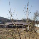 레트로카페 이미지