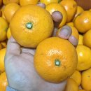 민경농장 이미지