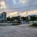 착한낙지삼척점 이미지