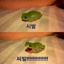 대림(아) 이미지