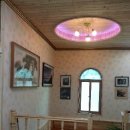 소나무 전경 이미지