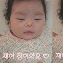 재이