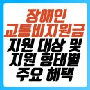 속초시 한국지체장애인협회 특별교통수단 이동지원센터 | 장애인 교통비 지원금 대상과 자격 요건, 놓치기 쉬운 조건까지 꼼꼼히 살펴보자!