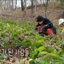 소망영농조합법인 이미지