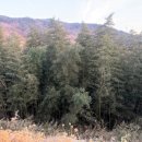 스테이외송 이미지