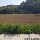 우원부동산공인중개사사무소 이미지