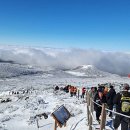 한라산공인중개사사무소 이미지