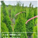 하늘빛농원 이미지