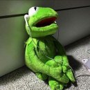 딸기팜
