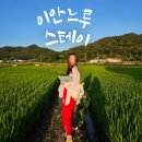 느루농장 | 이안느루 스테이 한살림 조합원 경북 상주시 가볼만한곳