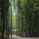 도서관에서 노는날 이미지