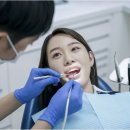 피카소 치과의원 네이버블로그
