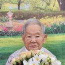 울진봄날애햇살 네이버블로그