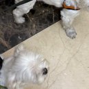 옹기종기 이미지