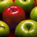 옥스 휘트니스 이미지