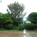 해풍민박 이미지