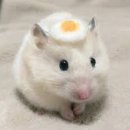 말랑 티스토리