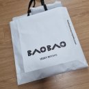 [가방/바오바오] 여름에 데일리로 좋은 바오바오백 구매후기