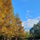 이반성면사무소 | 함안진주 가을여행(3) 경상남도수목원, 민들레식당, 더웨이닝커피 동부로점