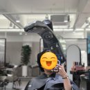 화정역 | 화정미용실 고민 끝, 제오헤어 화정역점 후기