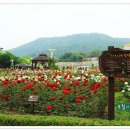 분수공원 이미지