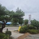 황톳골두부마을 | 음성읍 맛집. 건강하고 맛도좋고 저렴한 두부전골. 황톳골두부마을.