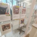 츄냥이 하우스 이미지