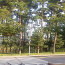 경포의하루 이미지