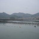 소풍B