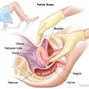 새로운병원 이미지