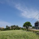 꽃밭 노래연습장 이미지