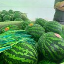 고창합기도 이미지