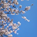 여좌천로 이미지