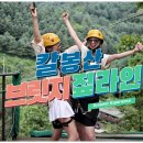 가평 브릿지짚라인 자라섬 꽃페스타 호명호수 힐링 여행