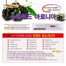 한반도면-5 이미지