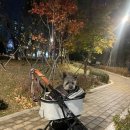 소망등록대행