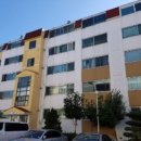 국태그린빌 이미지