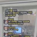설렘고양이카페 이미지